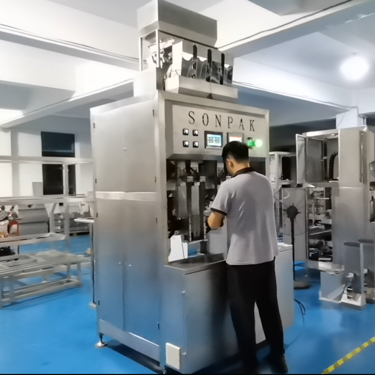 自動(dòng)給袋式真空包裝機(jī):常見問題及解決策略 自動(dòng)給袋式真空包裝機(jī):常見問題及解決策略